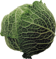 vegetables & Cabbage free transparent png image.