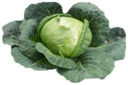 vegetables & Cabbage free transparent png image.