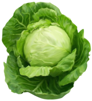 vegetables & Cabbage free transparent png image.