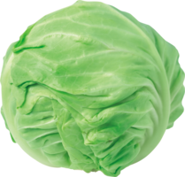 vegetables & Cabbage free transparent png image.