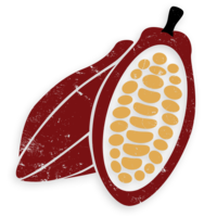 fruits&Cacao png image.