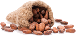 fruits & cacao free transparent png image.