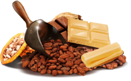 fruits & cacao free transparent png image.