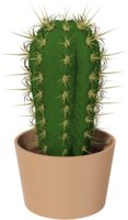 nature&Cactus png image.