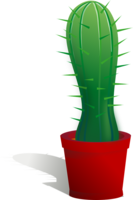 nature & Cactus free transparent png image.