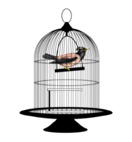 objects & cage free transparent png image.