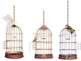 objects & cage free transparent png image.