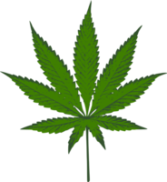 nature & cannabis free transparent png image.