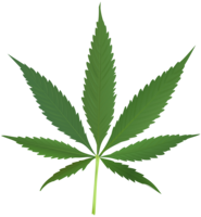 nature & Cannabis free transparent png image.