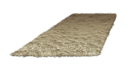 furniture & Carpet rug free transparent png image.