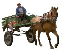 transport & Carriage free transparent png image.