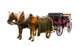 transport & Carriage free transparent png image.