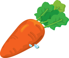 vegetables & carrot free transparent png image.