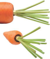 vegetables & Carrot free transparent png image.