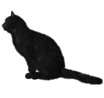 animals & cats free transparent png image.