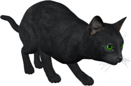 animals & cats free transparent png image.