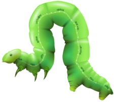 insects & Caterpillar free transparent png image.