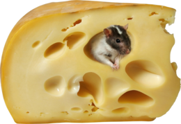 food & Cheese free transparent png image.