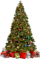 holidays&Christmas tree png image.