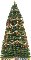 holidays & Christmas tree free transparent png image.