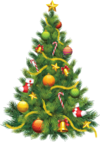 holidays & Christmas tree free transparent png image.