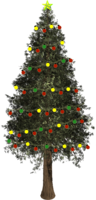 holidays & Christmas tree free transparent png image.