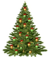 holidays & Christmas tree free transparent png image.