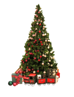 holidays & christmas tree free transparent png image.