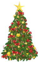 holidays & Christmas tree free transparent png image.