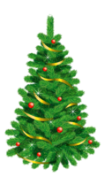 holidays & Christmas tree free transparent png image.