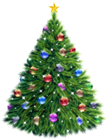 holidays & Christmas tree free transparent png image.