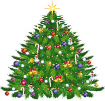 holidays & Christmas tree free transparent png image.