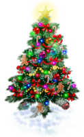 holidays & Christmas tree free transparent png image.