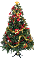 holidays & Christmas tree free transparent png image.