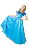 heroes & Cinderella free transparent png image.