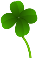 flowers & Clover free transparent png image.