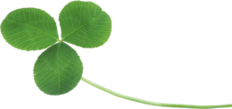 flowers & clover free transparent png image.