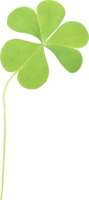 flowers & Clover free transparent png image.