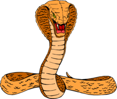 animals & Cobra free transparent png image.