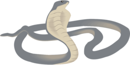 animals & Cobra free transparent png image.