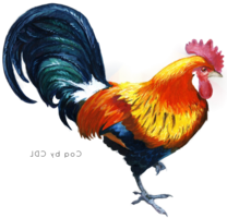 animals & Cock free transparent png image.