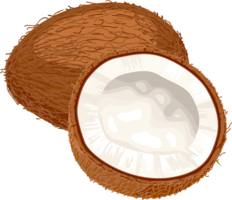 fruits & Coconut free transparent png image.