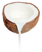 fruits & coconut free transparent png image.