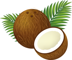 fruits & coconut free transparent png image.