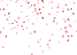 holidays & Confetti free transparent png image.