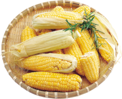 vegetables & Corn free transparent png image.