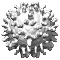 miscellaneous & Coronavirus COVID-19 free transparent png image.