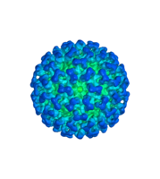 miscellaneous & Coronavirus COVID-19 free transparent png image.