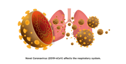 miscellaneous & Coronavirus COVID-19 free transparent png image.