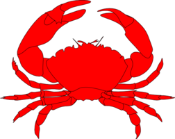 animals & crab free transparent png image.